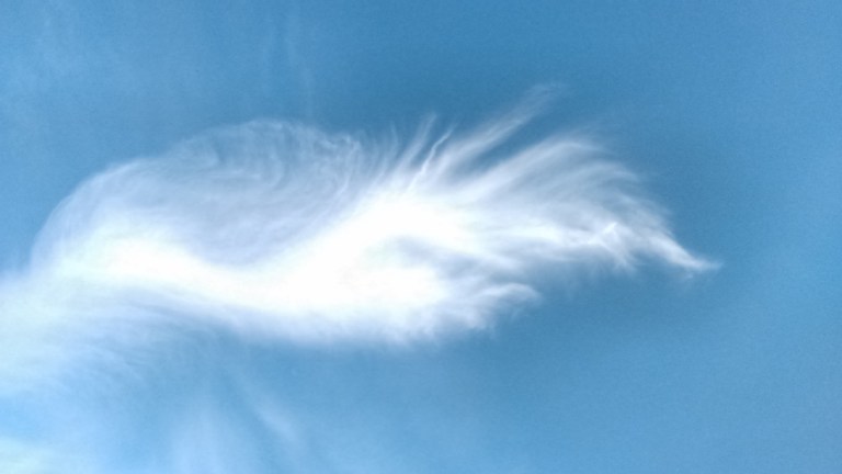 IMG_20150816_183902380