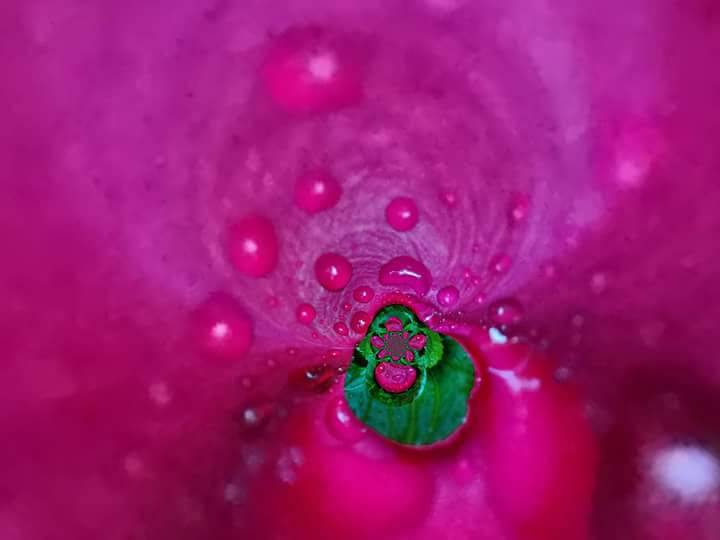 FB_IMG_1519136812929