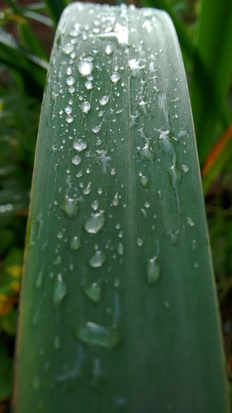 IMG_20151028_133226798