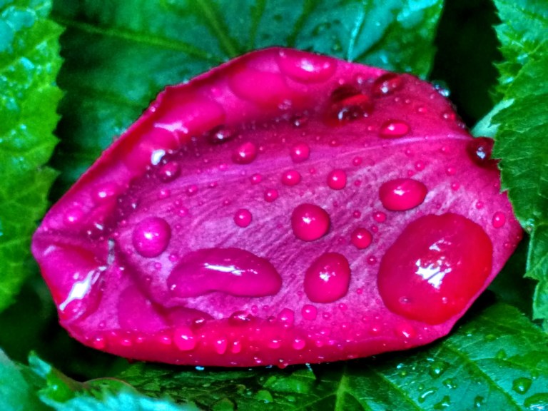 IMG_20160629_175714575