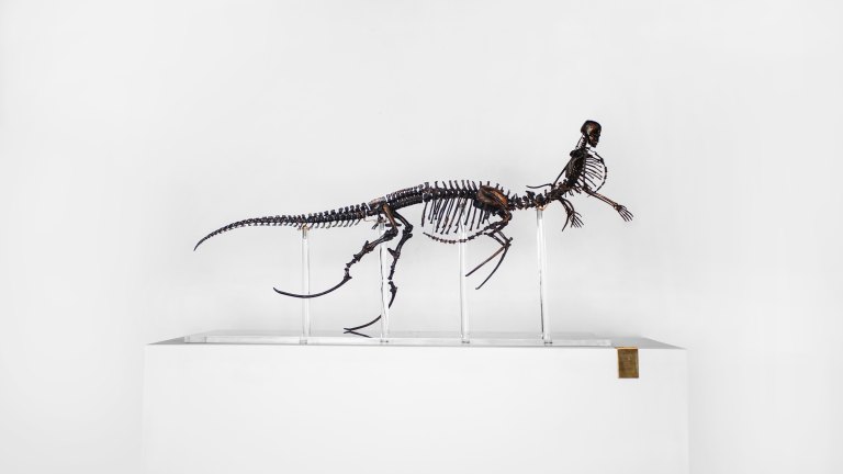 oriento-688215-unsplash