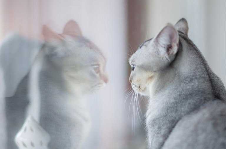 CF30B86C-E15E-4F49-A2E5-063BECCDA3F9